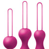 Je Joue Ami Progressive Pelvic Weights - Fuchsia