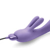 Je Joue FiFi 2 - Purple