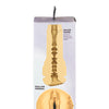 Kiiroo Feel Stars Collection Stroker - Skyler Lo