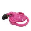 Locked In Lust The Vice Clitty - Pink