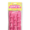 Super Fun Penis Silicone Mold