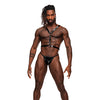 Sagittarius PU Leather Chest & Winged Back Harness Black O/S