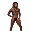 Sagittarius PU Leather Chest & Winged Back Harness Black O/S