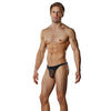 Male power sheer nylon lycra pouch thong black