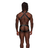 Fetish Uranus Nylon Spandex Moonshine Harness Brief Black S/M