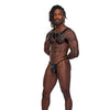 Leather Aries Single Ring Harness Black O/S