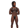 Leather Gemini Double Ring Harness Black O/S
