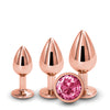 Rear Assets Pink Gem Anal Trainer Kit - Rose Gold