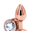 Rear Assets Rose Gold Small - Clear