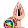 Rear Assets Rose Gold Medium - Rainbow