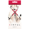 NS Novelties Sinful Hogtie