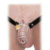 Fetish Fantasy Extreme Extreme Chastity Belt - Black