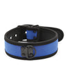 Plesur Neoprene Puppy Collar - Blue