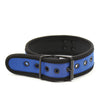 Plesur Neoprene Puppy Collar - Blue