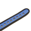 Plesur Neoprene Puppy Collar - Blue
