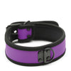 Plesur Neoprene Puppy Collar - Purple