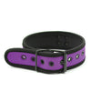 Plesur Neoprene Puppy Collar - Purple