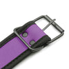 Plesur Neoprene Puppy Collar - Purple