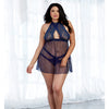 Sheer Mesh & Lace Halter Babydoll w/Panty Midnight QN