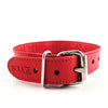 Rouge Leather O Ring Studded Collar - Red
