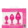 Cheeky Gems 3 pc Plug Set - Pink