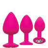 Cheeky Gems 3 pc Plug Set - Pink