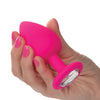 Cheeky Gems 3 pc Plug Set - Pink
