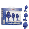 Cheeky Gems 3 pc Plug Set - Purple