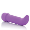 Classic Chic Mini G Vibe - Purple