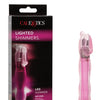 Lighted Shimmers LED Hummer
