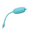 Rechargeable Kegel Teaser - Assorted Colors
