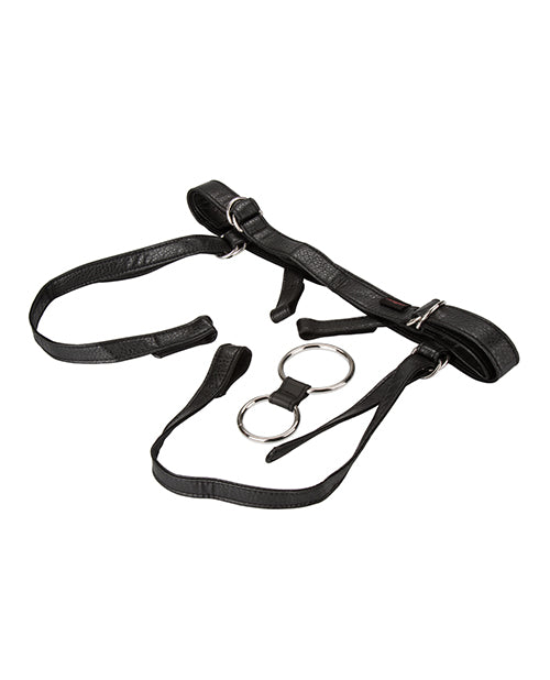 Her Royal Harness The Duchess - Black