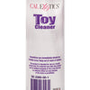 Anti-Bacterial Toy Cleaner - 4.3 oz