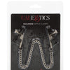 Nipple Play Bull Nose Nipple Jewelry - Silver