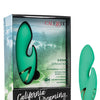 California Dreaming Sierra Sensation - Green