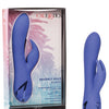 California Dreaming Beverly Hills Bunny - Purple