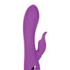 California Dreaming Valley Vamp - Purple