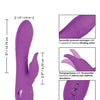 California Dreaming Valley Vamp - Purple