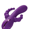 California Dreaming Long Beach Bootylicious - Purple
