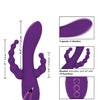 California Dreaming Long Beach Bootylicious - Purple