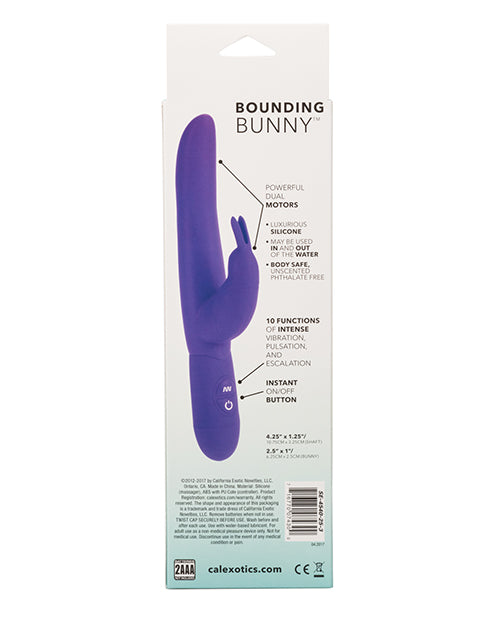 Posh 10 Function Bounding Bunny