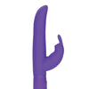 Posh 10 Function Bounding Bunny