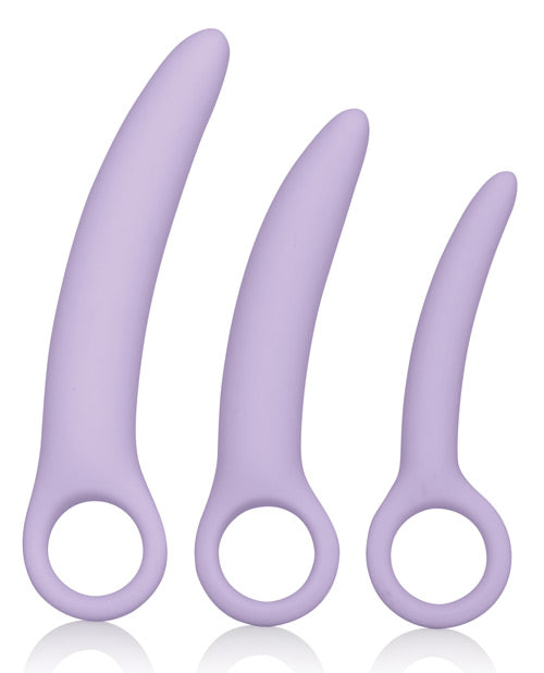 Dr. Laura Berman Alena Silicone Dilators - Set of 3 Lavender