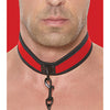 Shots Ouch Puppy Play Puppy Collar w/Leash - Red