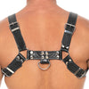 Shots Uomo Chest Bulldog Harness Small/Medium - Black