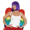 Rainbow Large Feather Wings