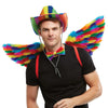 NO ETA=Rainbow Small Feather Wings