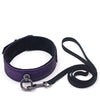 Spartacus Galaxy Legend Collar & Leash - Purple
