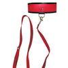 Sex & Mischief Leash & Collar