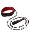 Saffron Leash & Collar